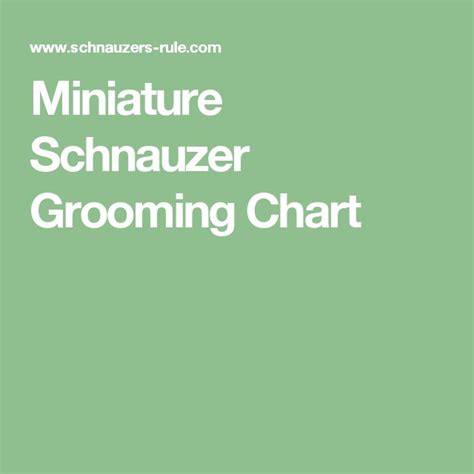 Miniature Schnauzer Grooming Chart