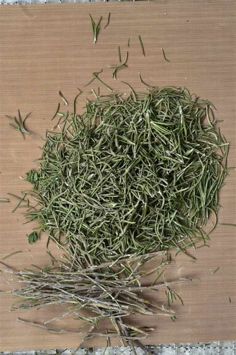 How To Dry Rosemary and Store It (3 Methods) - Alphafoodie