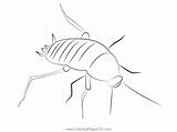 Kolorowanka Cockroach Kolorowanki Samochody Cucaracha Rav4 Karaluch  sketch template