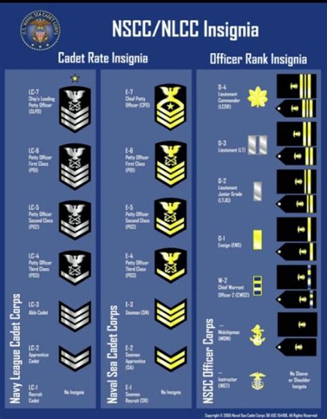 Sea Cadet Insignias | Navy officer ranks, Military ranks, Navy training