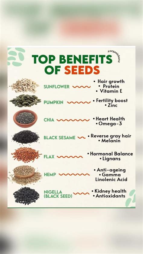 Benefits of seeds | Health facts food, Food health benefits, Foods for brain health