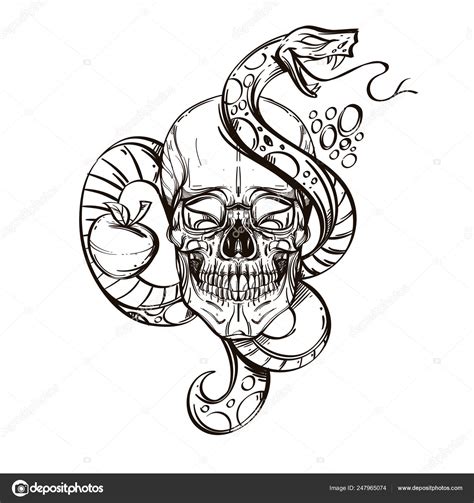 Skull Snake Outline Vector Illustration Isolated White Background Tattoos Posters Stock Vector ...