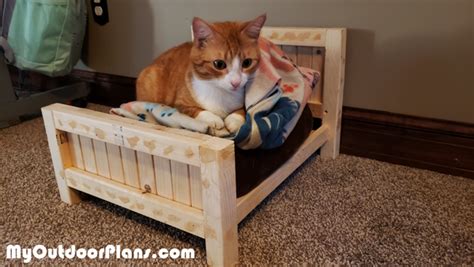 DIY Farmhouse Cat Bed Unique Cat Bed, Modern Cat Bed, Unique Cats, Diy ...