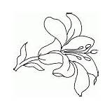 Magic Coloring  Flowers And plants coloring Pages Lily sketch template