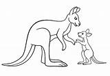 Kangaroo Coloring Page sketch template