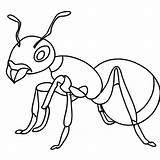 Black Ant Coloring Pages sketch template