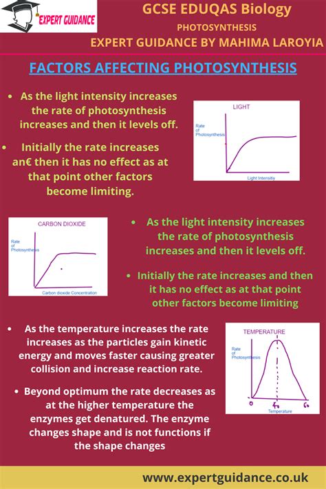 Photosynthesis Photosynthesis Factors affecting photosynthesis How ...