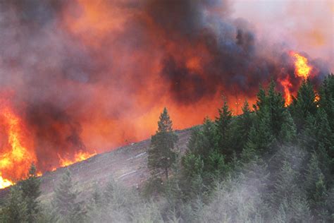 Wildfires and Climate Change — Center for Climate and Energy Solutions