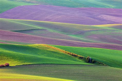 USA, Washington State, Palouse, Spring Photograph by Terry Eggers