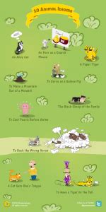 10 Animal Idioms and Their Meanings | Grammar Newsletter - English Grammar Newsletter