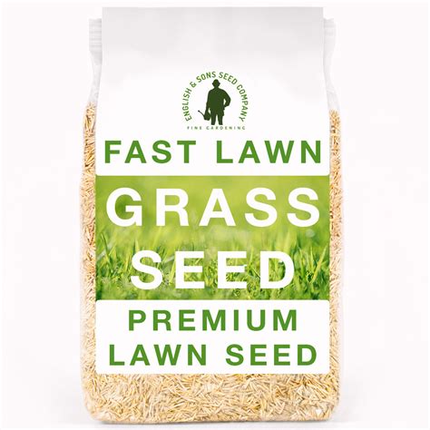 Fast Lawn Grass Seed, 1kg Premium Quality Fast Growing Grass Seeds – Little Trees Bees & Seeds Co.