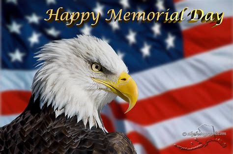 Free download American Flag Eagle Wallpaper wallpaper wallpaper hd [2888x2422] for your Desktop ...