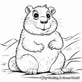 Gopher Coloring Pages  Free & Printable sketch template