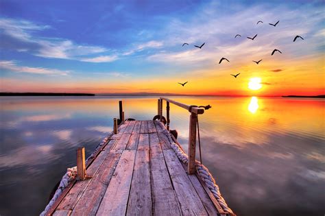 Early Bird Dock Fly-By Sunrise Sunset | Sunset wall art, Outdoor wall ...