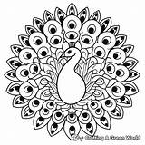 Peacock Mandala Coloring Pages  Free & Printable sketch template