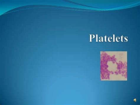 Platelets Meaning