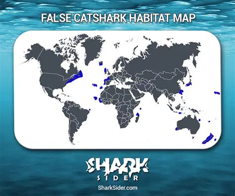 False Catshark– Facts, Size, Behavior, Diet, Pictures