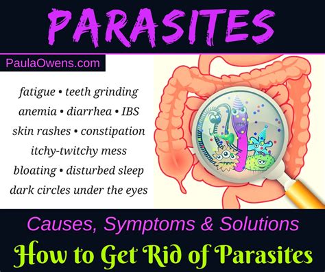 Parasites In Human Stool Symptoms