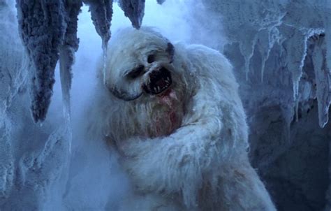 poor wampa | Star wars characters, Classic star wars, Star wars nerd