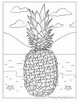 Luau Themed Coloring Pages sketch template