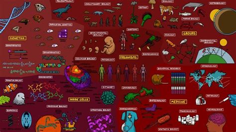 MAPS OF DIFFERENT FIELDS OF SCIENCE (credit- Domain of science yt) : r/JEENEETards