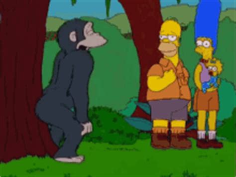 Simpsons Monkey GIFs | Tenor