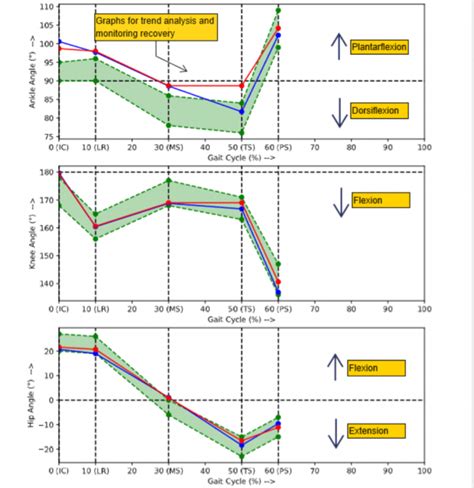 Kinematic graphs - auptimo