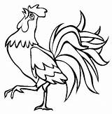 Rooster Clip Coloring Clipart Cockerel Drawing Chicken Outline Roosters  sketch template