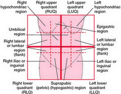 Liver Pain - Location, Causes, Symptoms, Diagnosis and Treatment