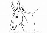 How To Draw A Donkey Face  DrawingTutorials101com drawing sketch template