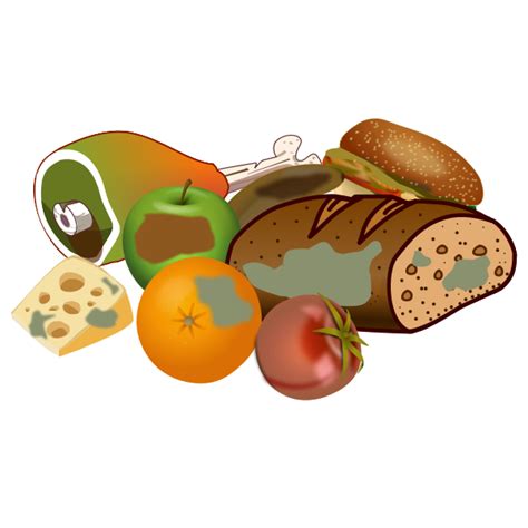 3,100+ Rotting Food Illustrations, Royalty-Free Vector Graphics - Clip ...