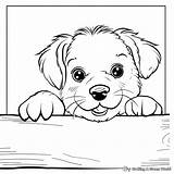 Blank Coloring Pages  Free & Printable Worksheets Library sketch template