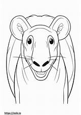 Bongo coloring Pages  Free Printable sketch template