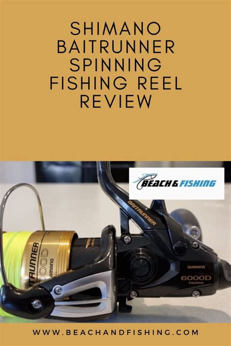 Shimano Baitrunner Spinning Reel Review | Beach and Fishing