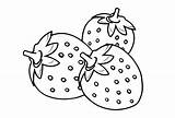 Simple Easy Coloring Pictures  101 Activity sketch template