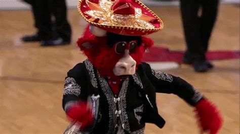 Benny The Bull Bulls Mascot GIF by Chicago Bulls - Find & Share on GIPHY