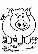 Farm Animal Coloring Pages  Page Zentangle Owl Bee sketch template