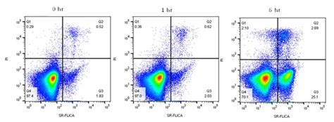 Apoptosis Analysis by Flow Cytometry | Bio-Rad