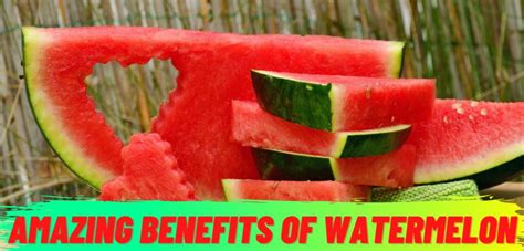 11 Surprising Watermelon Benefits! - Crazy Bite News