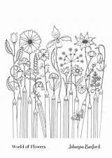 Johanna Basford Coloring Tutorials Pages sketch template