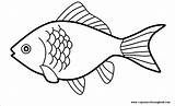 Crappie Fish Coloring Page Sketch sketch template