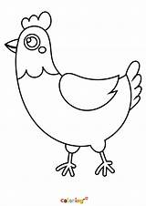 Chicken Coloring Pages sketch template
