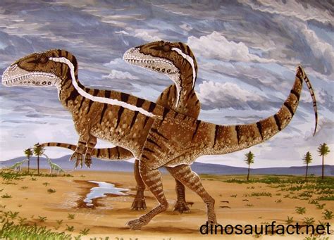 Megalosaurus dinosaur