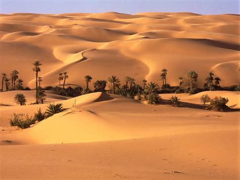 Desert Oasis Wallpapers - Top Free Desert Oasis Backgrounds - WallpaperAccess