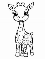 Animal Coloring Pages Giraffe sketch template