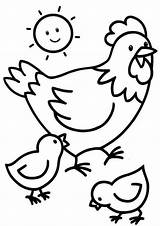Chicken Pages A Bucket Coloring sketch template