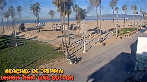 Venice Beach Webcam - Venice Beach Live Cam - venice beach live boardwalk cam - YouTube