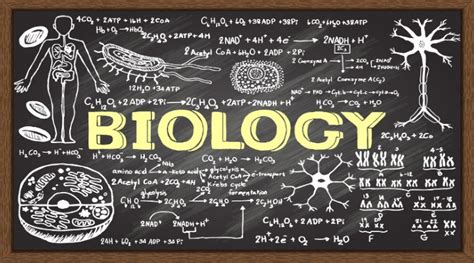 Apa yang Disebut Biologi, dan Apa yang Dipelajari Dalam Biologi? | Belajar Sampai Mati