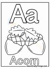 A Is For Acorn Worksheet sketch template