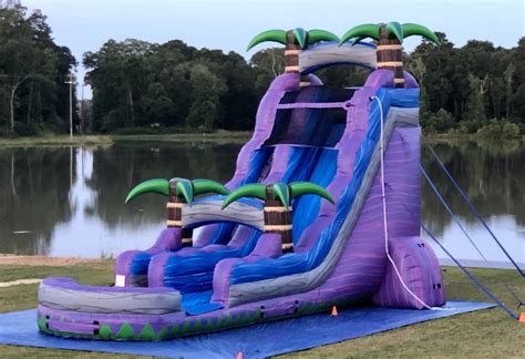 All About Inflatables - bounce house rentals and slides for parties in Denham Springs